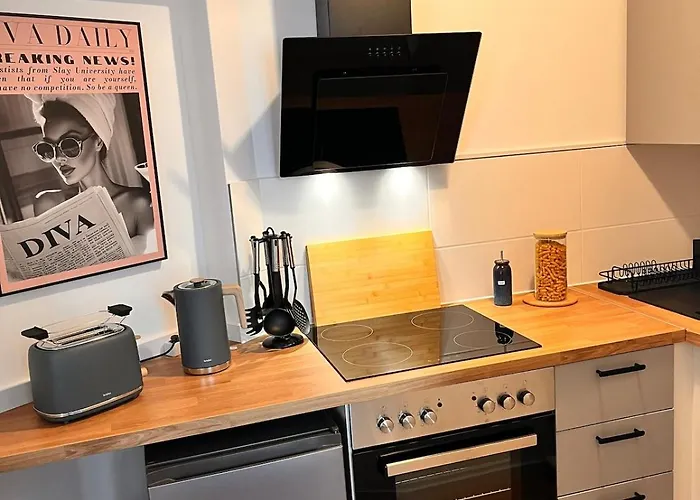 Modern With Terrace & Feel-good Factor Drezno